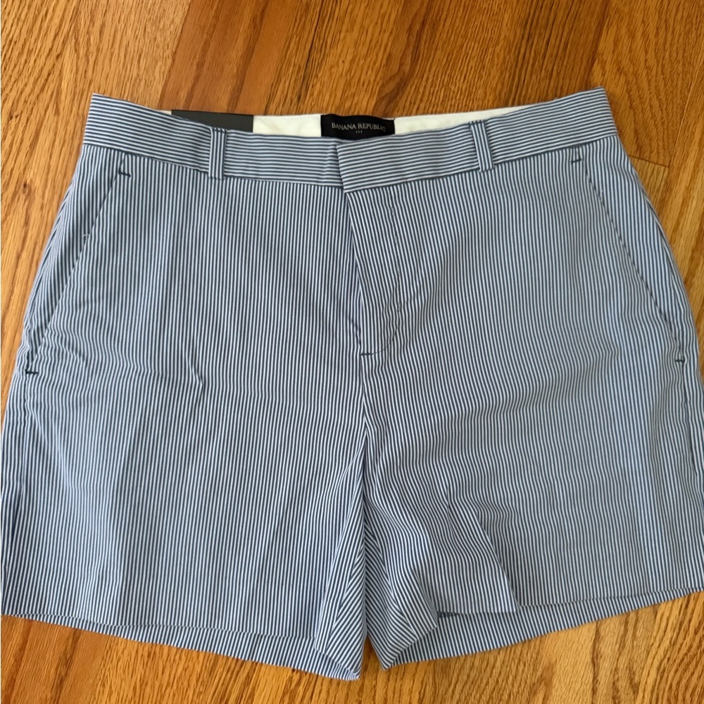 Banana Republic Blue Striped Women's Shorts